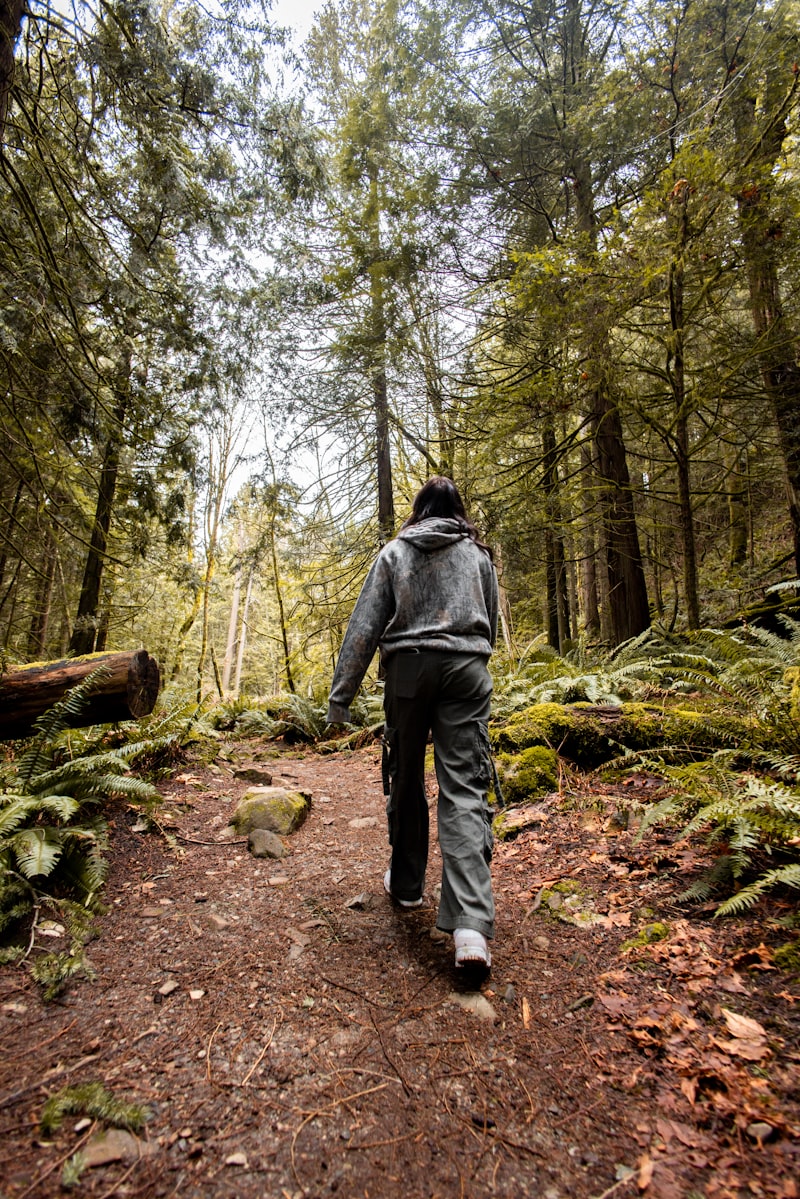 Person hiking away on a dirt trail through a green forest with tall evergreen trees